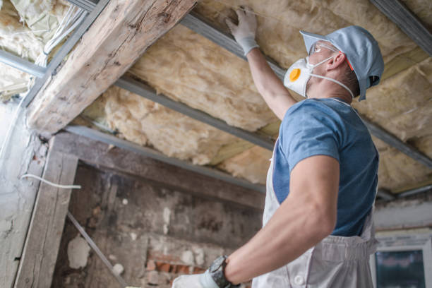 Best Insulation Maintenance and Repair in Marion, KS